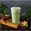 Special: Sữa Sâm Dứa