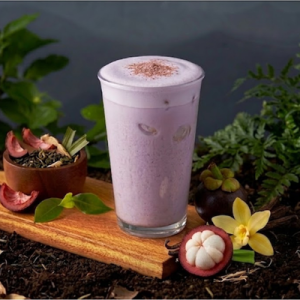 Special: Sữa Măng Cụt (Mangosteen)